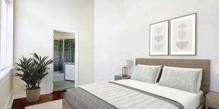 245 Losoya Gallery 10