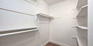 1318 Agate Gallery 14