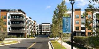 Ellison Cool Springs Gallery 19