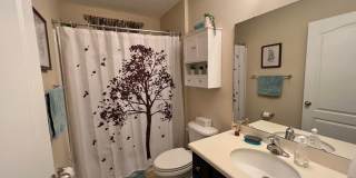 Beautiful 3 bedroom/ 2 bathroom home on the Northside- Pet Friendly!! Gallery 15