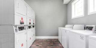 Carrington Park Gallery 10