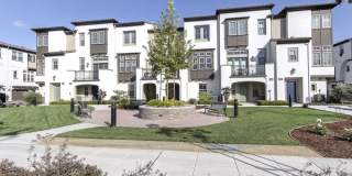 115 Sonoma Ter Gallery 1
