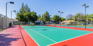 Metro Thirty Six Ten Gallery 21