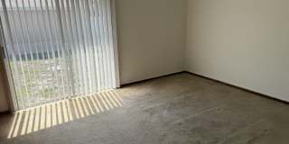5014 Palm Drive Gallery 16
