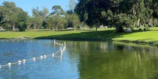 333 THE ESPLANADE N Gallery 24