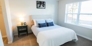 Arris Duluth Gallery 4