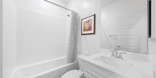 249 Steely Gallery 29