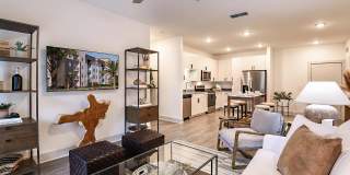 Grand Cypress Gallery 21