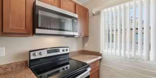 2520 East Cameron Vista 2520 East Cameron Vista Gallery 7