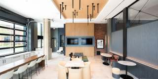 Elle Gallery 46