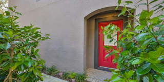 1307 SALEM ORCHARD LANE Gallery 2