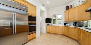 79695 Mandarina Gallery 28