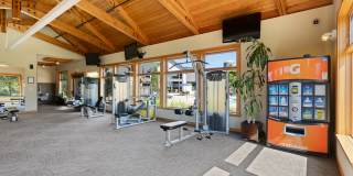 Four Lakes Gallery 15