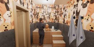 Lakeside at Coppell Apartments Lakeside at Coppell Apartments Gallery 19