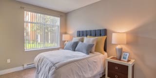 Woodland Meadow Gallery 29