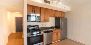 The Veridian Gallery 45