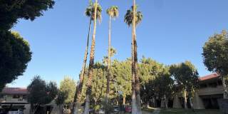 680 N Ashurst Court Gallery 12