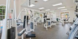 Victoria Place Gallery 72