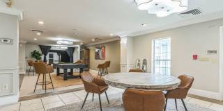 Vivo Living Summerville Gallery 1