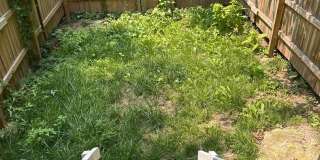 Spacious 4-bedroom uptown Harrisburg Spacious 4-bedroom uptown Harrisburg Gallery 9