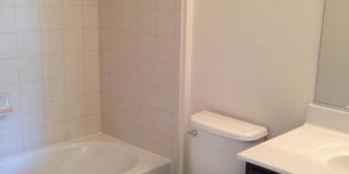 43313 FOYT Terrace Gallery 23