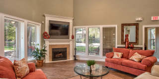 TimberLake Gallery 20