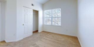 Tiburon Gallery 9