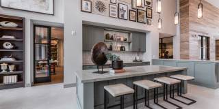 Atlas Crown Gallery 19