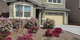 12518 W CASSIA Trail Gallery 1