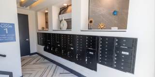 White Oak Heights Gallery 18