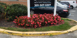 Swift at Riverdale Park Gallery 13