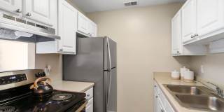 The Forest Gallery 5