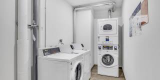 Koz at the Dome Gallery 20