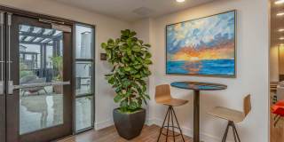 Vineyards Gallery 63