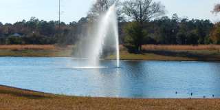 539 HEDGEWOOD Drive Gallery 25