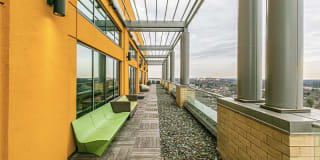 The George Gallery 4