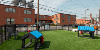 Plant 1 Plant 1 Gallery 18