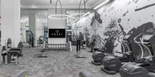 Hazel Southpark Gallery 47