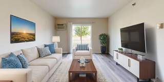 Pineview Gallery 2