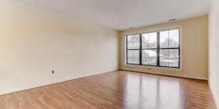 2007 CLIPPER PARK Road Gallery 13