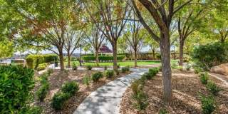 9161 Tudor Park Place Gallery 45
