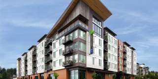 LINQ Lofts + Flats Gallery 5