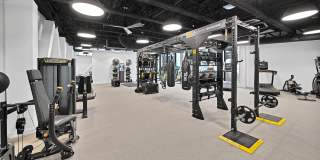 Triangle Square Gallery 6