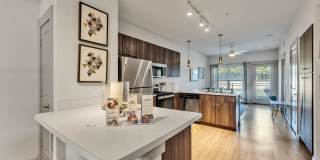 Waters at Sunrise Gallery 7