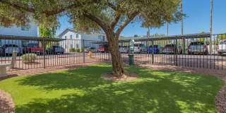 Two Five Greenway Apartments Gallery 20