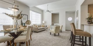 Las Palmas Gallery 38