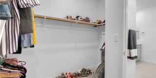 5357 Eleganza Avenue Gallery 24