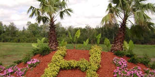 208 Sawgrass Trl Gallery 1