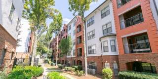 Highland Walk Gallery 29