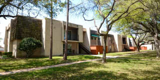 University Gardens University Gardens Gallery 8